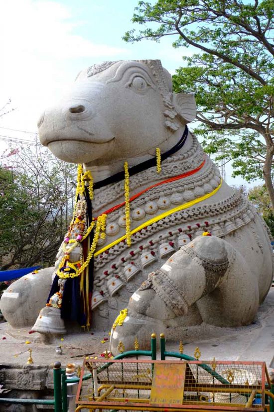 Nandi géant de Chamundi Hill