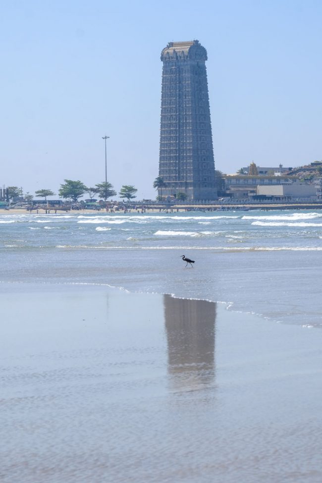 Inde, Karnataka, Murudeshwar, reflets et oiseau aquatique