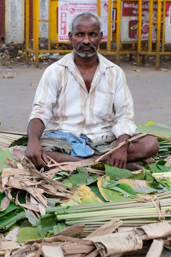 coupeur de feuilles de bananier, très utiles comme assiettes