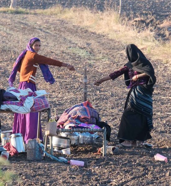 Des femmes sont en train de baratter du lait dans un champ