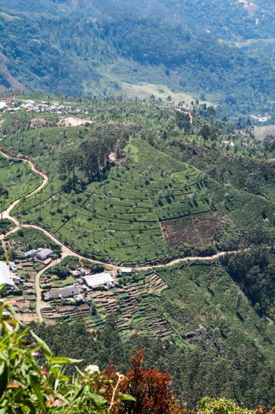 Vue depuis le "Lipton's seat"