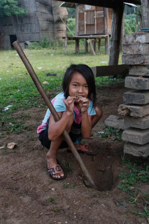 Les enfants capturent des sauterelles qui vivent dans la terre