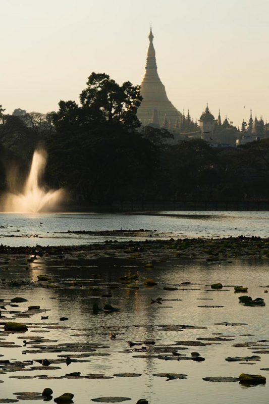 Depuis le lac, magnifique vue sur la pagode Shwedagon toute dorée par les rayons du soleil déclinant.